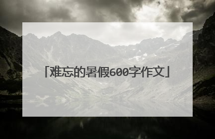 难忘的暑假600字作文