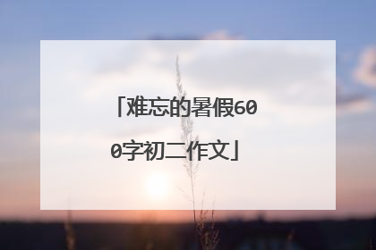 难忘的暑假600字初二作文