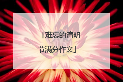难忘的清明节满分作文