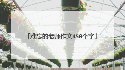 难忘的老师作文450个字