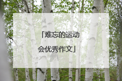 难忘的运动会优秀作文