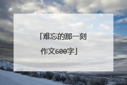 难忘的那一刻作文600字