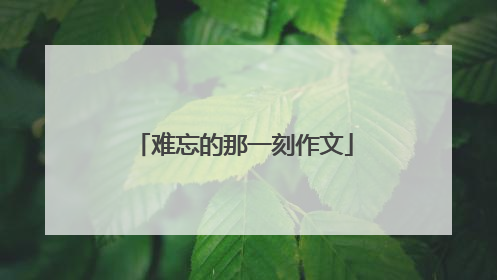 难忘的那一刻作文