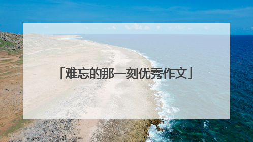 难忘的那一刻优秀作文