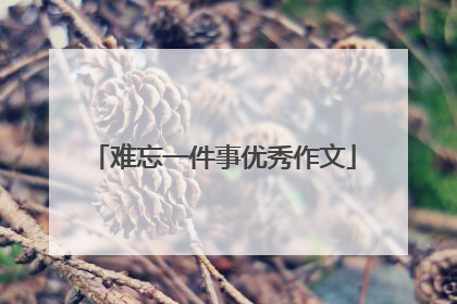 难忘一件事优秀作文