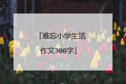 难忘小学生活作文300字