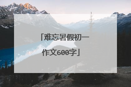 难忘暑假初一作文600字