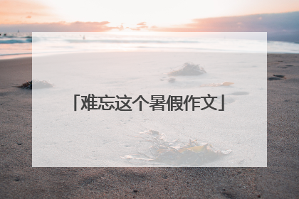 难忘这个暑假作文