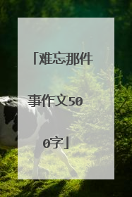 难忘那件事作文500字