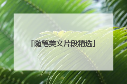 随笔美文片段精选