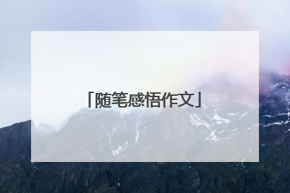 随笔感悟作文
