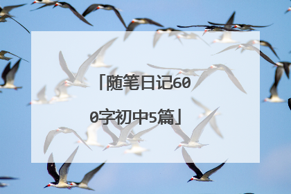 随笔日记600字初中5篇