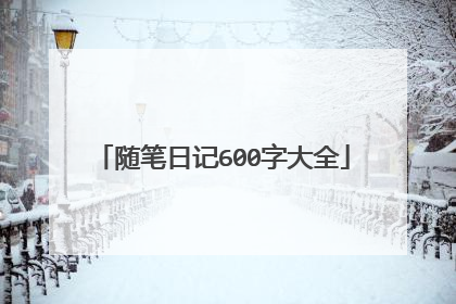 随笔日记600字大全