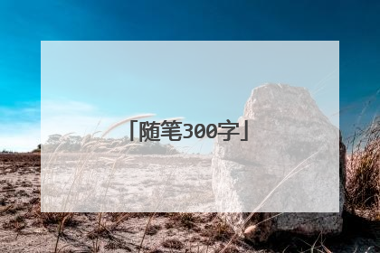 随笔300字