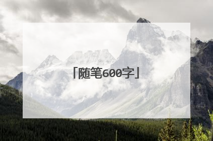 随笔600字