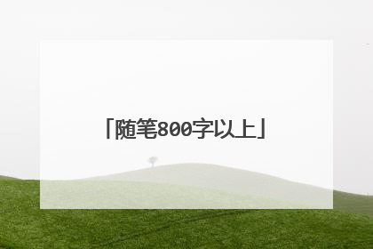 随笔800字以上