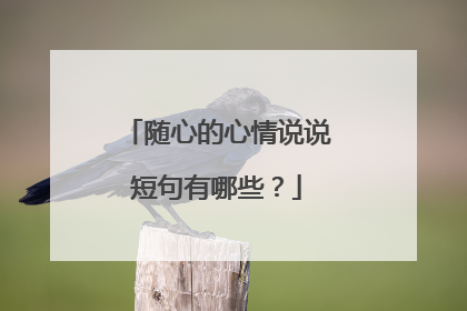 随心的心情说说短句有哪些？