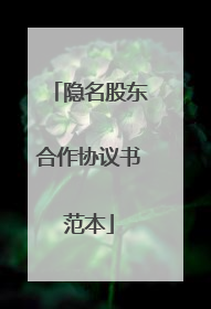 隐名股东合作协议书范本