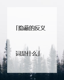 隐蔽的反义词是什么