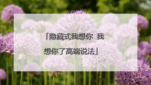 隐藏式我想你 我想你了高端说法