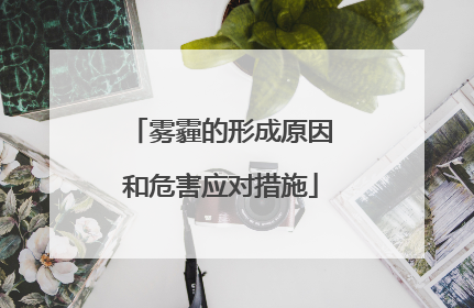 雾霾的形成原因和危害应对措施