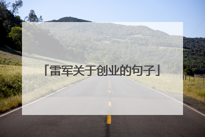 雷军关于创业的句子
