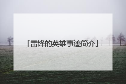 雷锋的英雄事迹简介