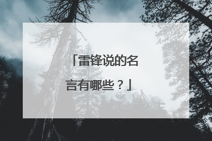 雷锋说的名言有哪些？