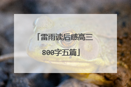 雷雨读后感高三800字五篇