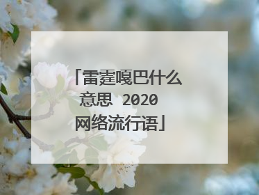 雷霆嘎巴什么意思 2020网络流行语