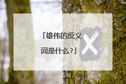 雄伟的反义词是什么?