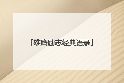 雄鹰励志经典语录