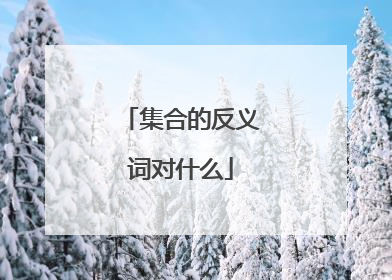 集合的反义词对什么