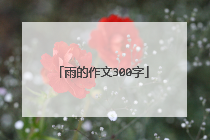 雨的作文300字