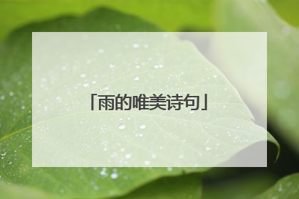 雨的唯美诗句
