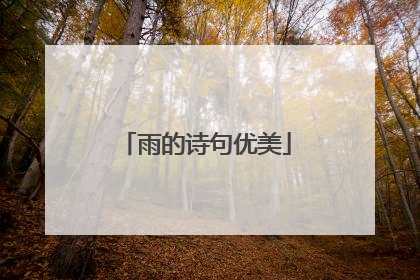 雨的诗句优美