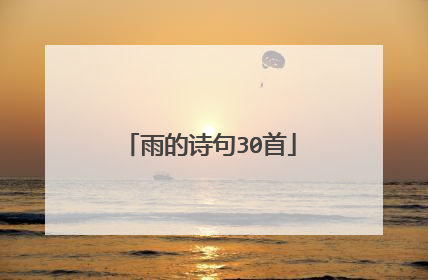 雨的诗句30首