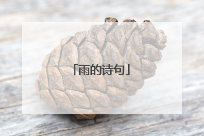 雨的诗句