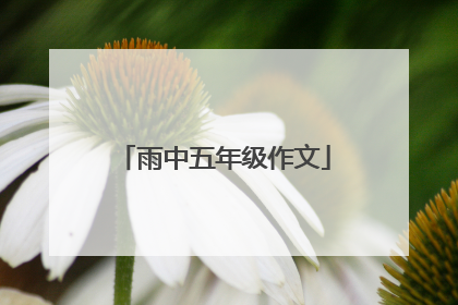 雨中五年级作文