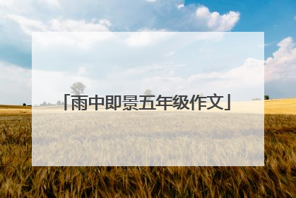 雨中即景五年级作文