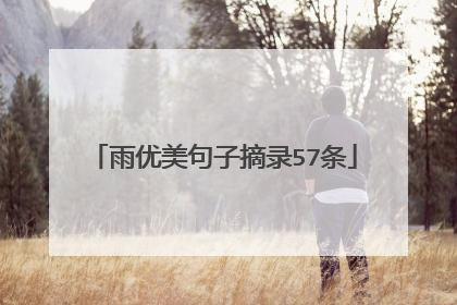 雨优美句子摘录57条