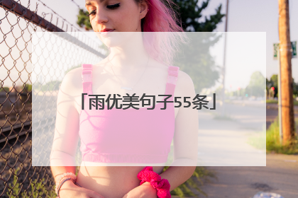 雨优美句子55条