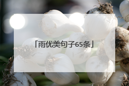 雨优美句子65条