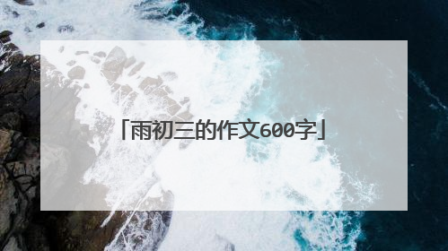 雨初三的作文600字