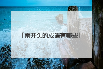 雨开头的成语有哪些