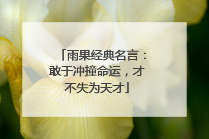 雨果经典名言:敢于冲撞命运,才不失为天才