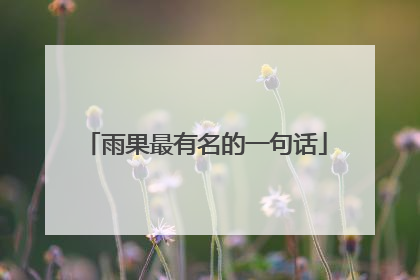 雨果最有名的一句话