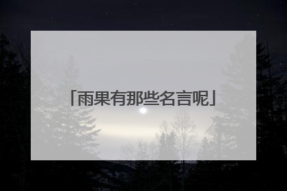 雨果有那些名言呢