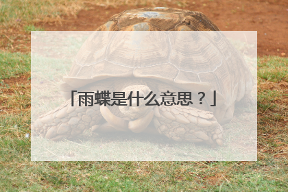雨蝶是什么意思？