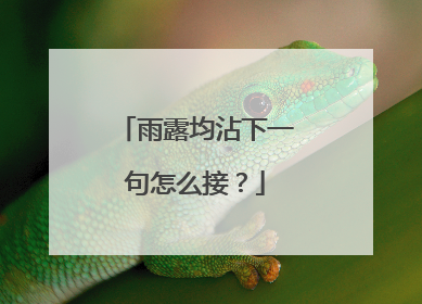 雨露均沾下一句怎么接?